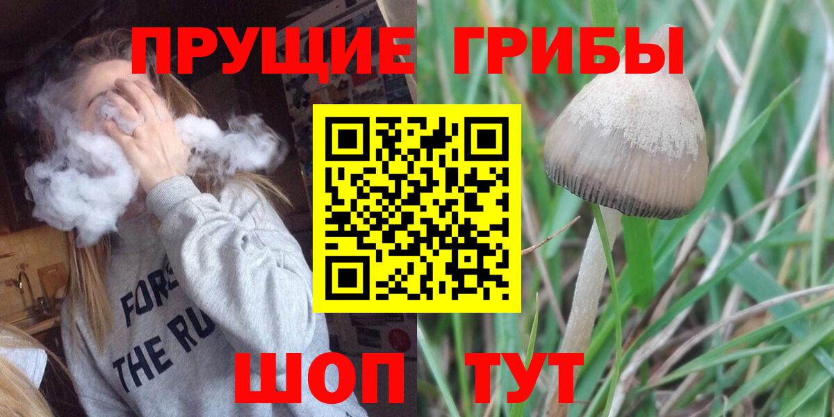 Саров  Псилоцибиновые грибы прущие грибы  Вход с VPN 
