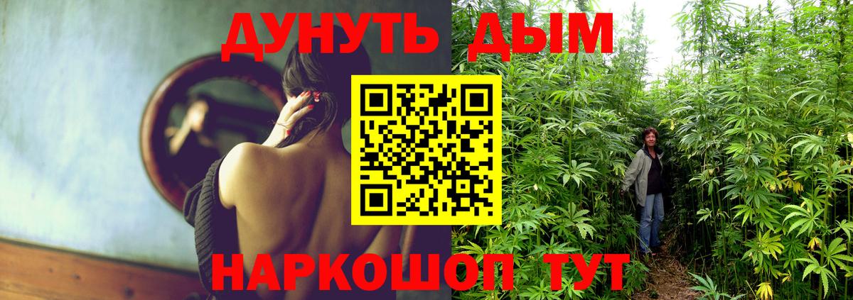 Шишки марихуана Ganja Саров